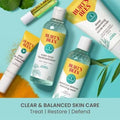 Burt's Bees Traditional Skin Acne bundle